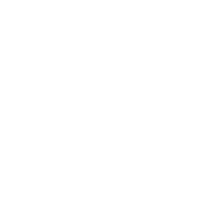 Industry Innovation & Infrastructure